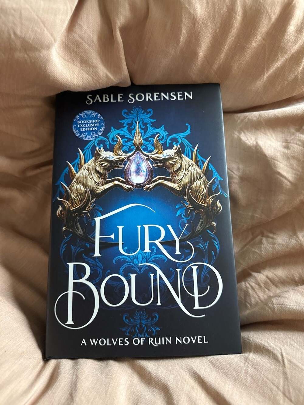 Sable Sorensen Dire Bound Hardcover Special Edition - Picture 2 of 13
